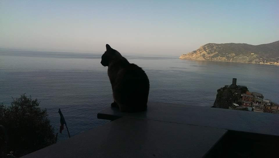 Cinque Terre