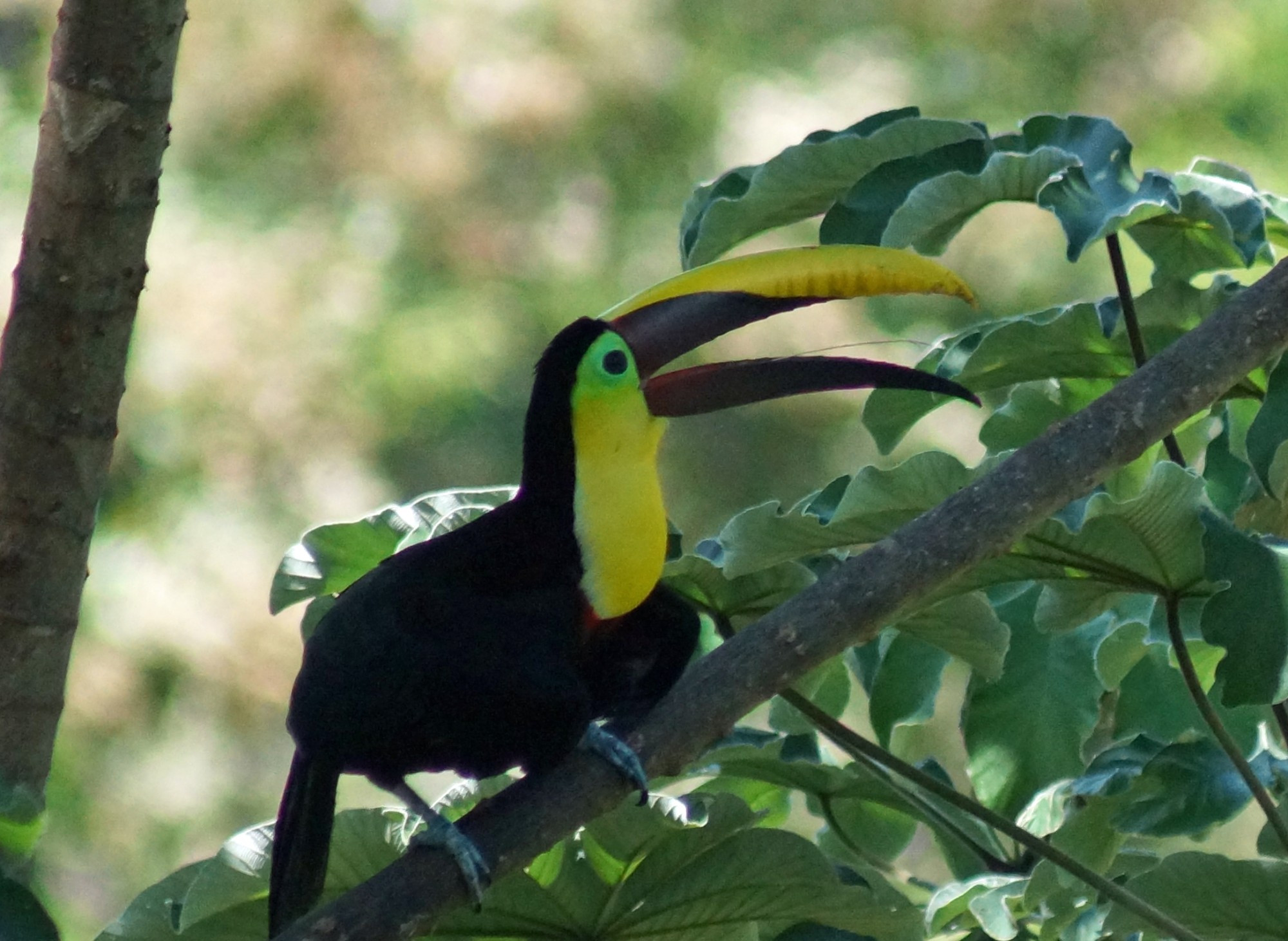 Costa Rica