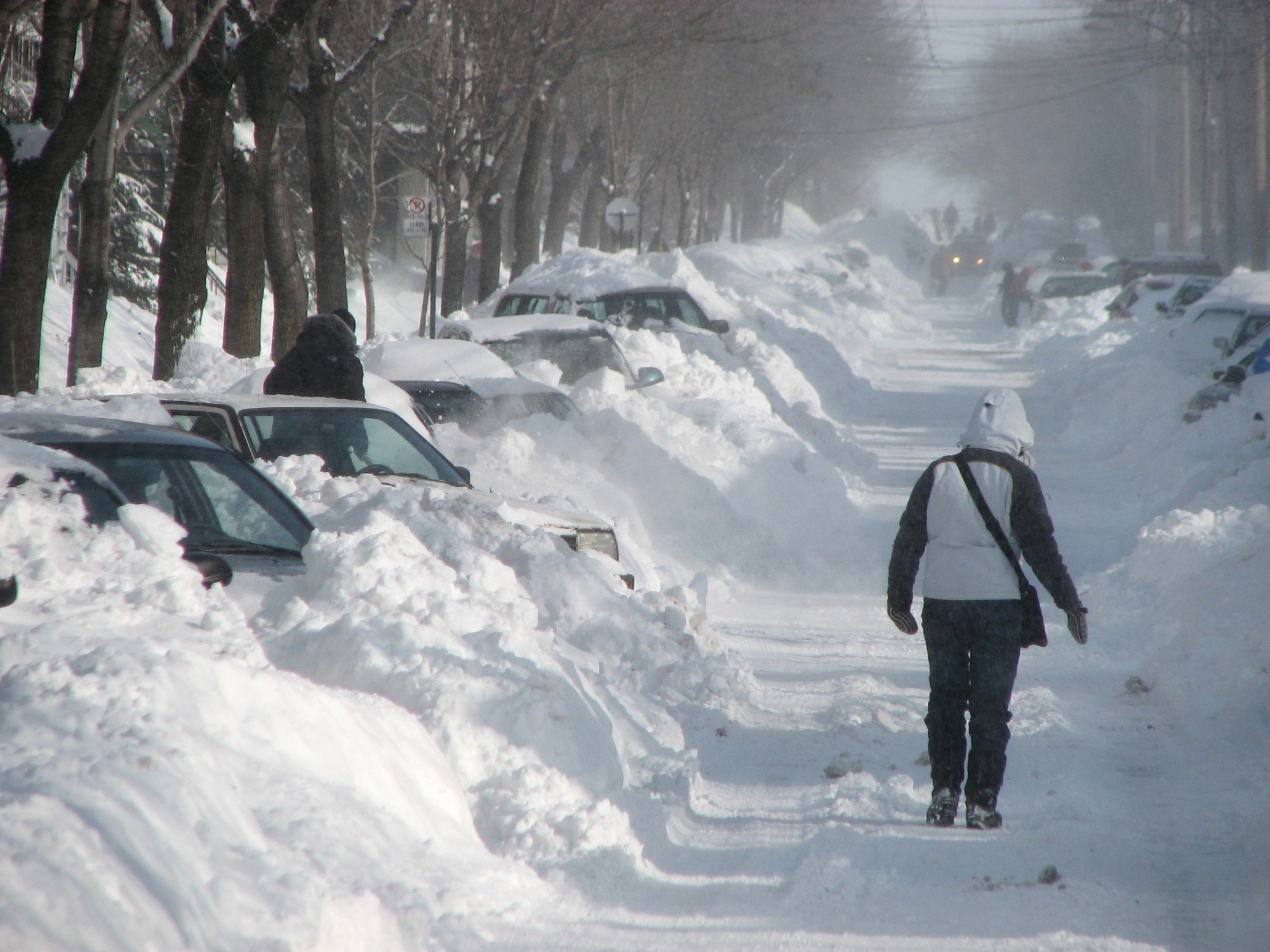 Montréal sous la neige