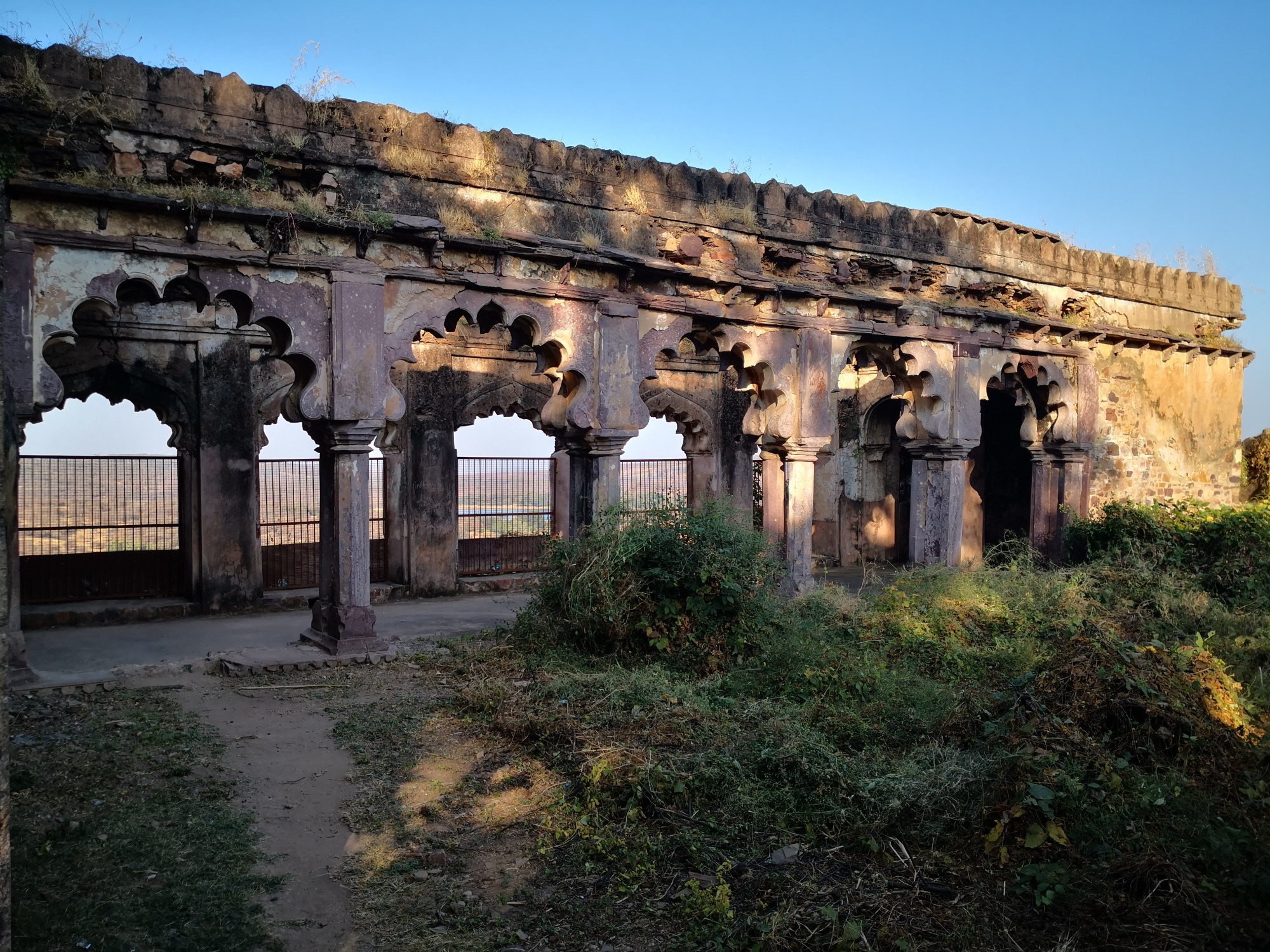 Ranthambore National park, India