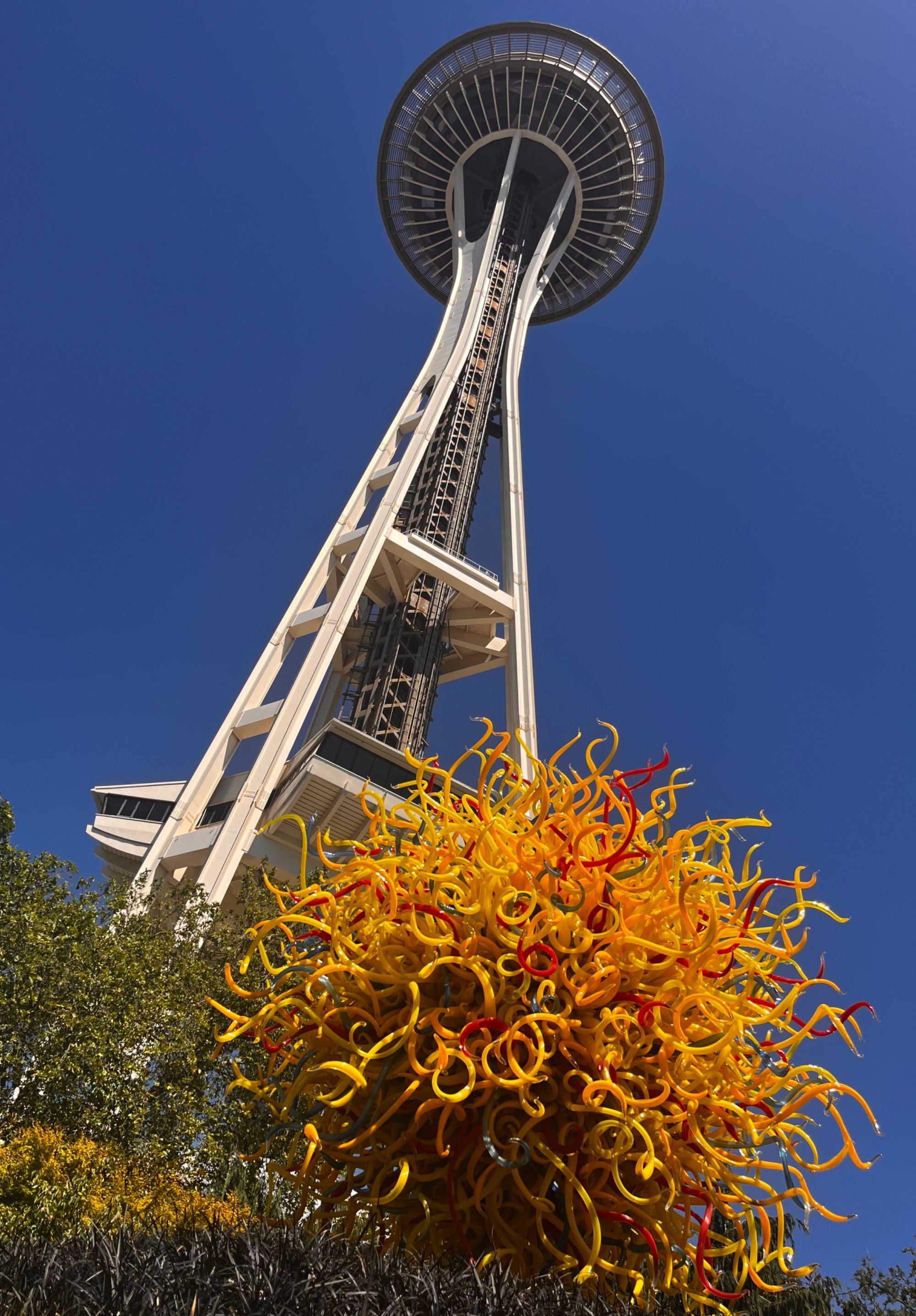 Chihuly Glass Museum and Garden, США