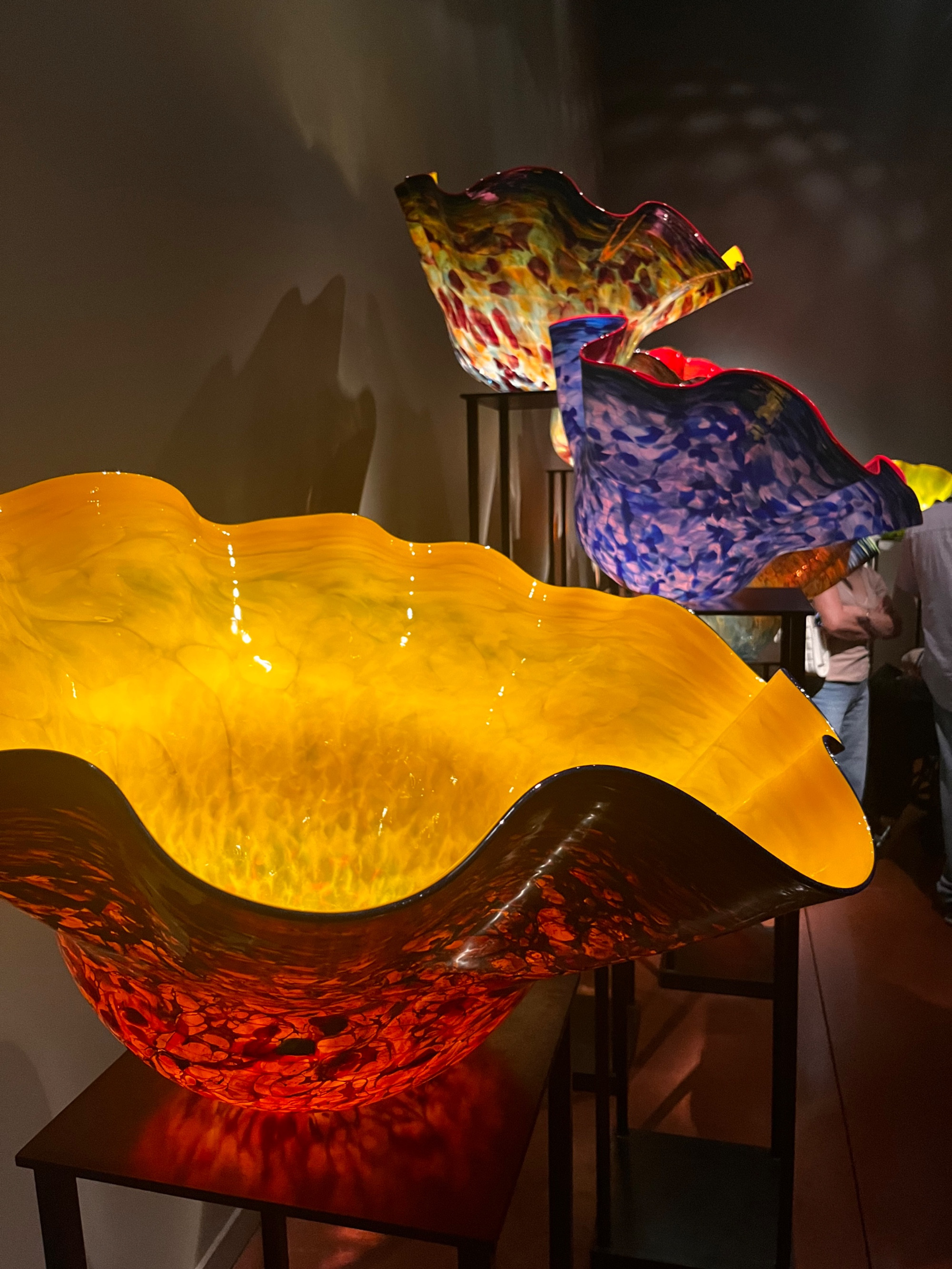 Chihuly Glass Museum and Garden, США