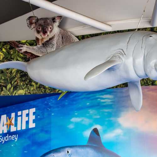 SEA LIFE Sydney Aquarium photo