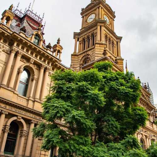 Sydney Town Hall photo