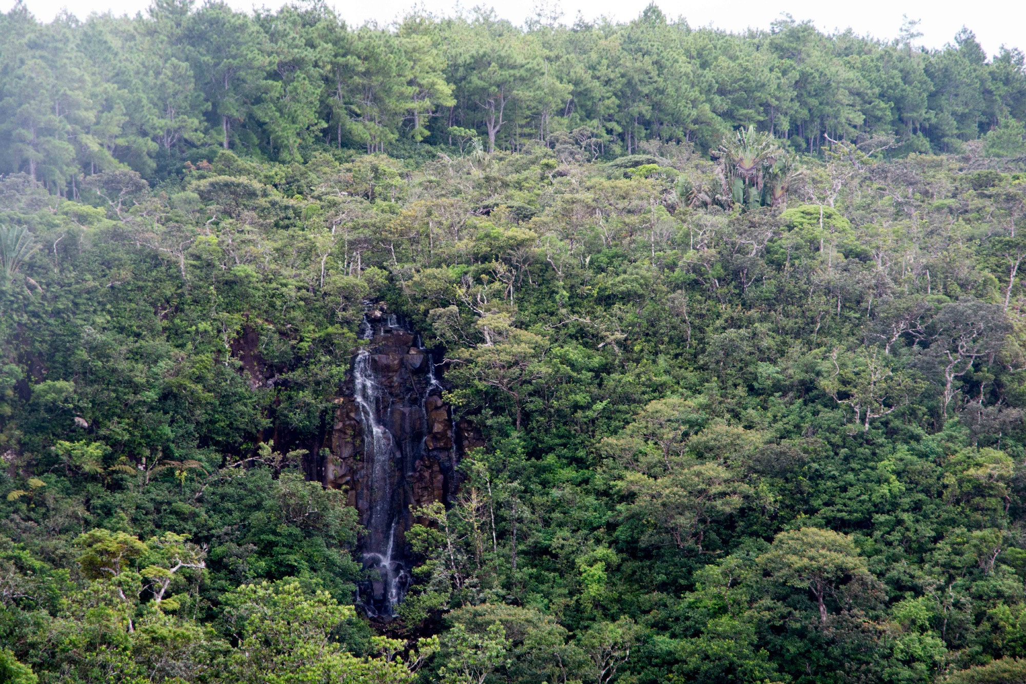 Alexandra Falls, Маврикий