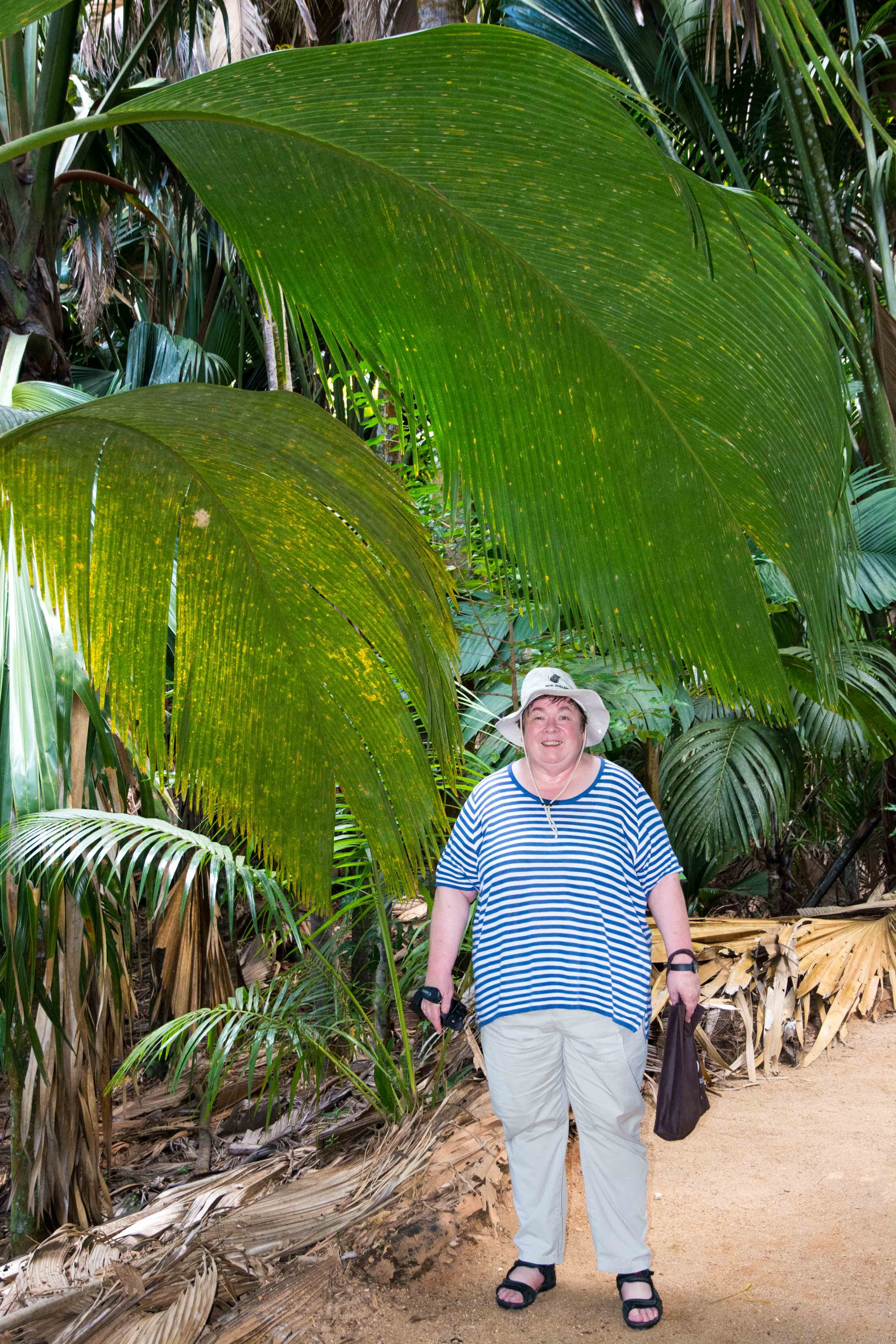 Vallee de Mai Nature Reserve, Seychelles