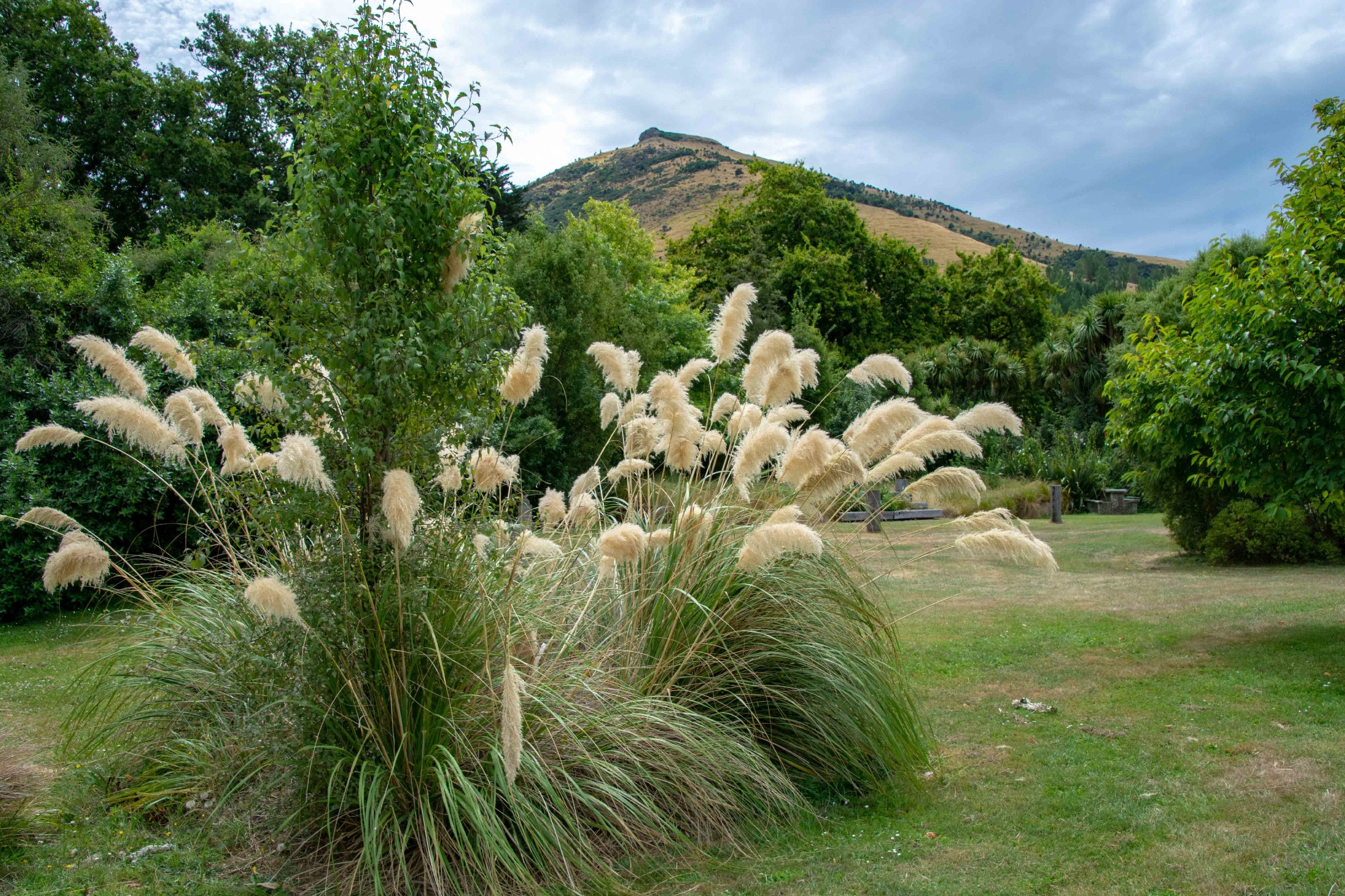 Little River, New Zealand