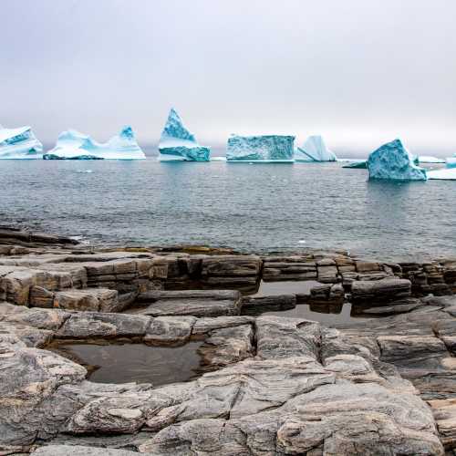 Icebergs at Qeqertarsuaq