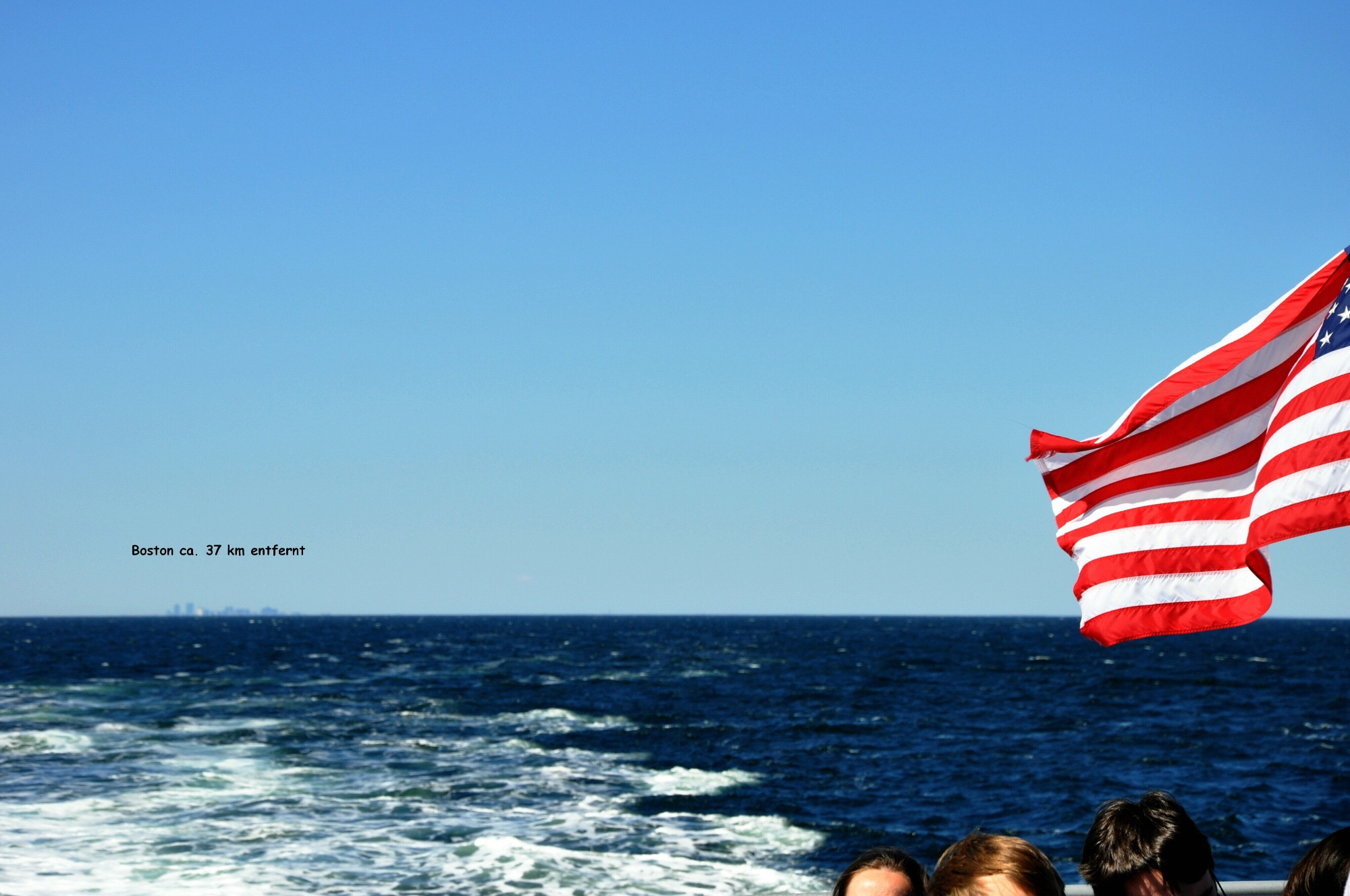 Massachusetts Bay whale watching tour