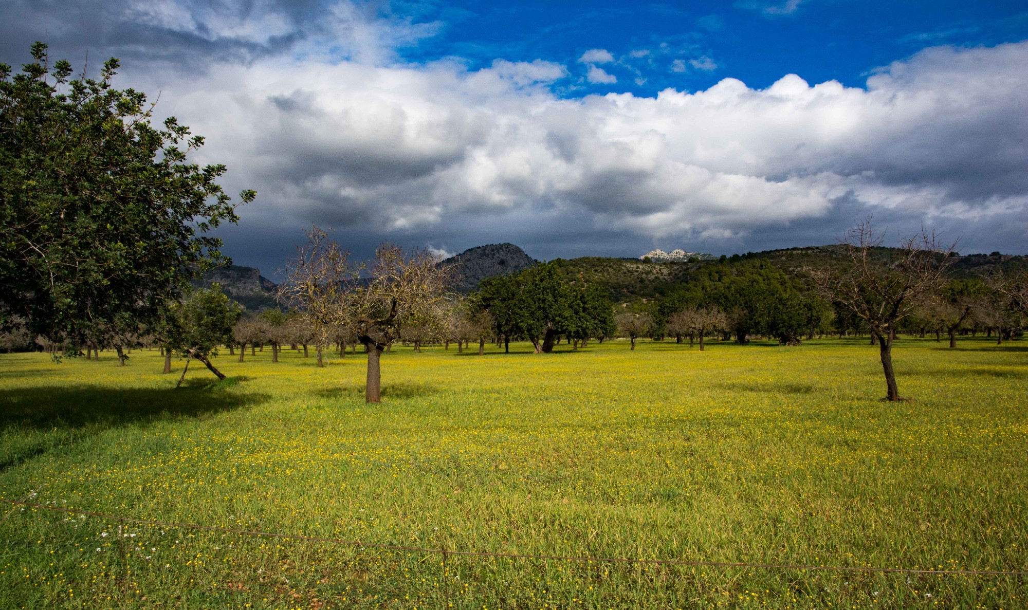 Sa Coma, Spain