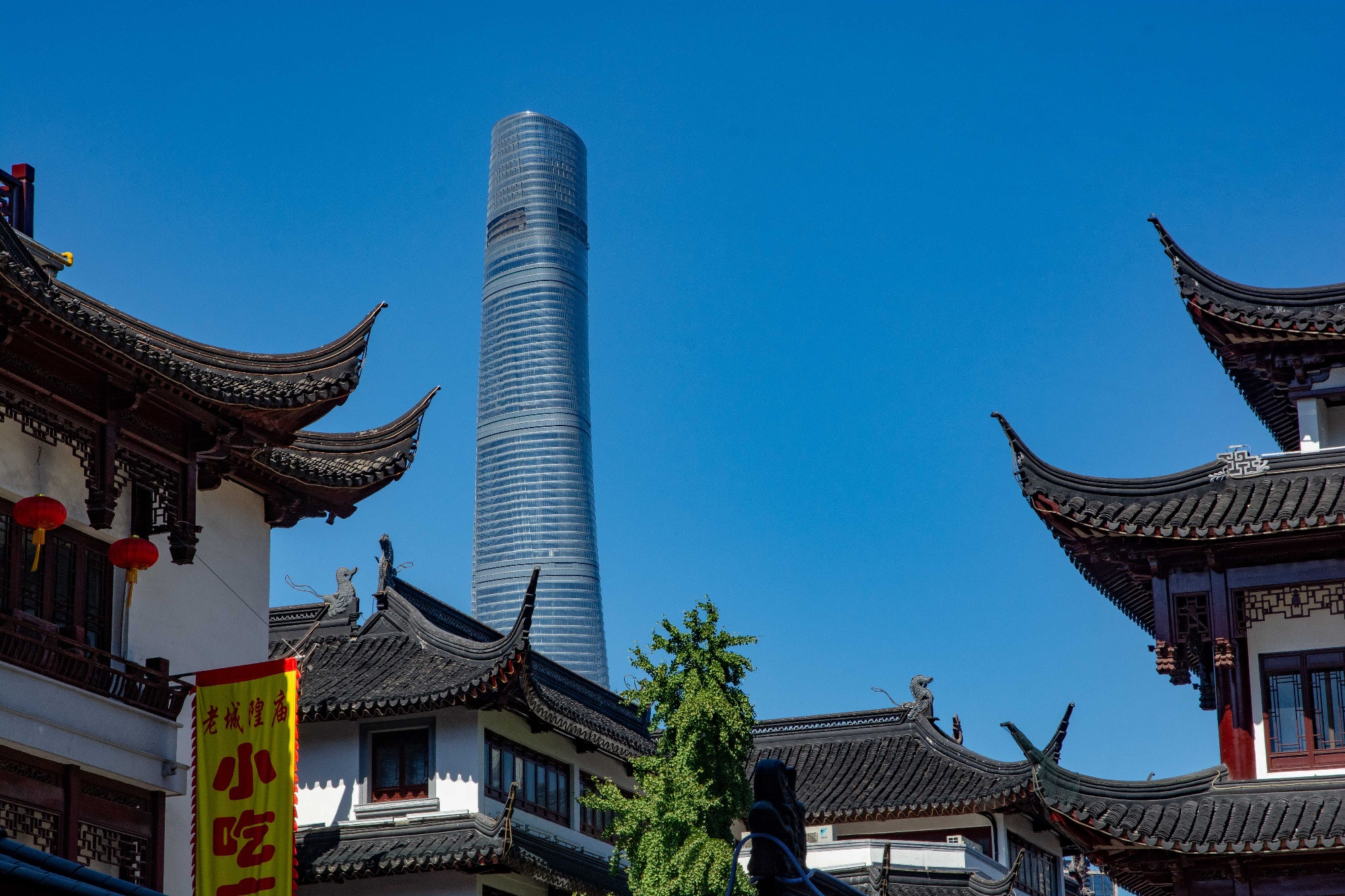 Shanghai Tower from Yu Garden
