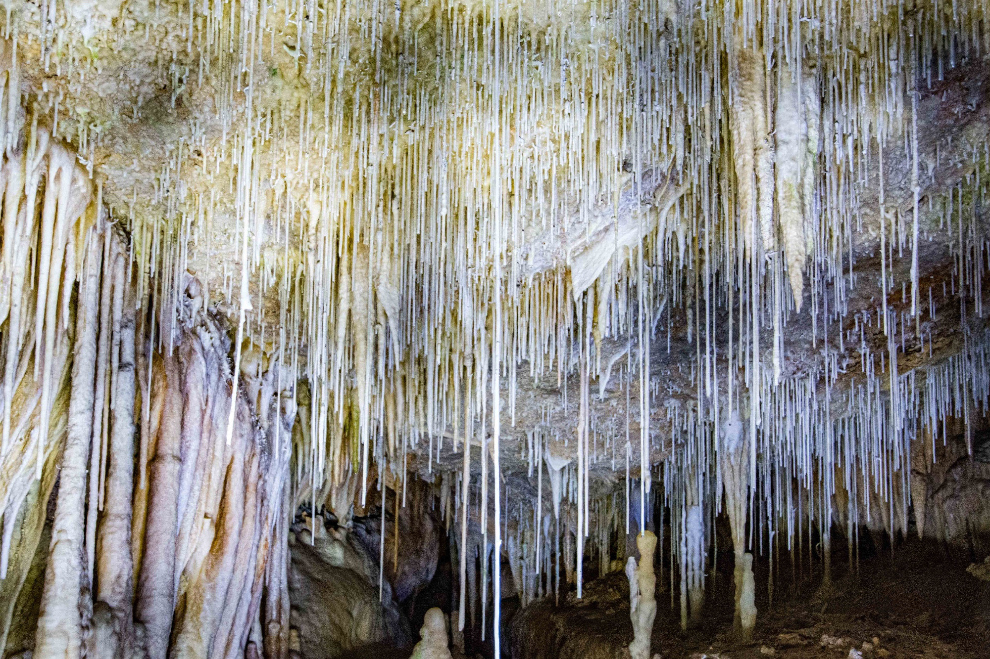 Coves de Campanet