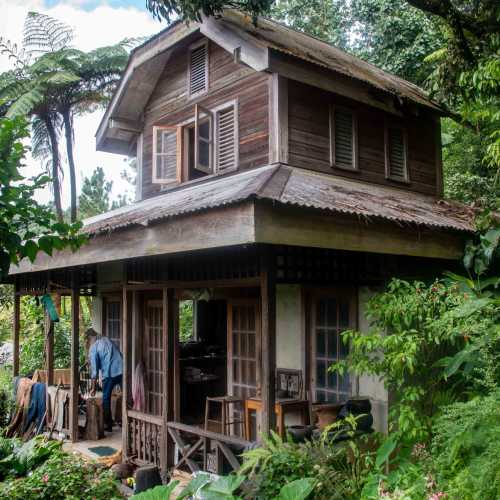 Morne Tabac Rain Forest Trail and Parrot Sanctuary — Owners House