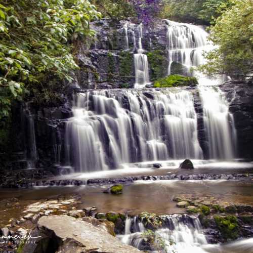 Parakaunui Falls