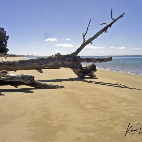 Waikato Beach