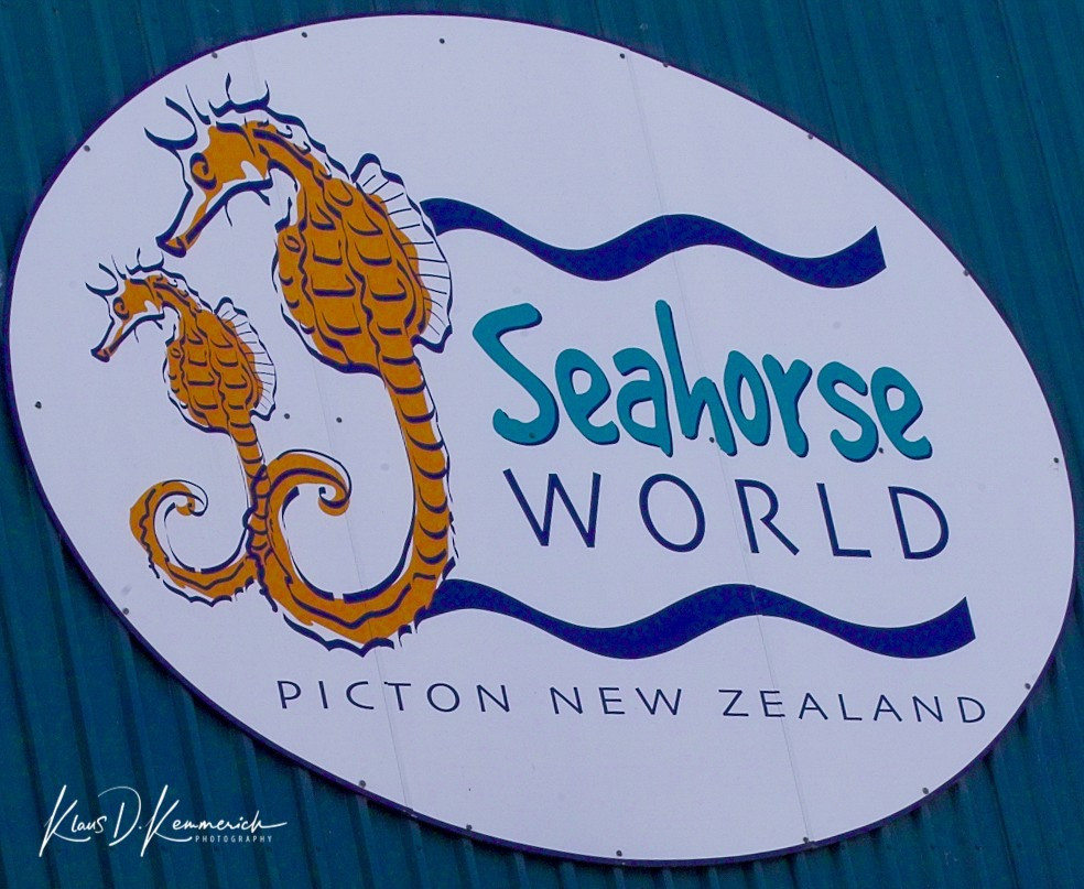 Sea Horse World Aquarium