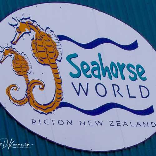 Seahorse World Aquarium, Новая Зеландия