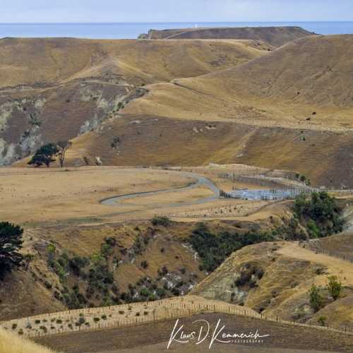 Cape Kidnappers photo