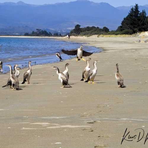 Waikato Beach, Новая Зеландия