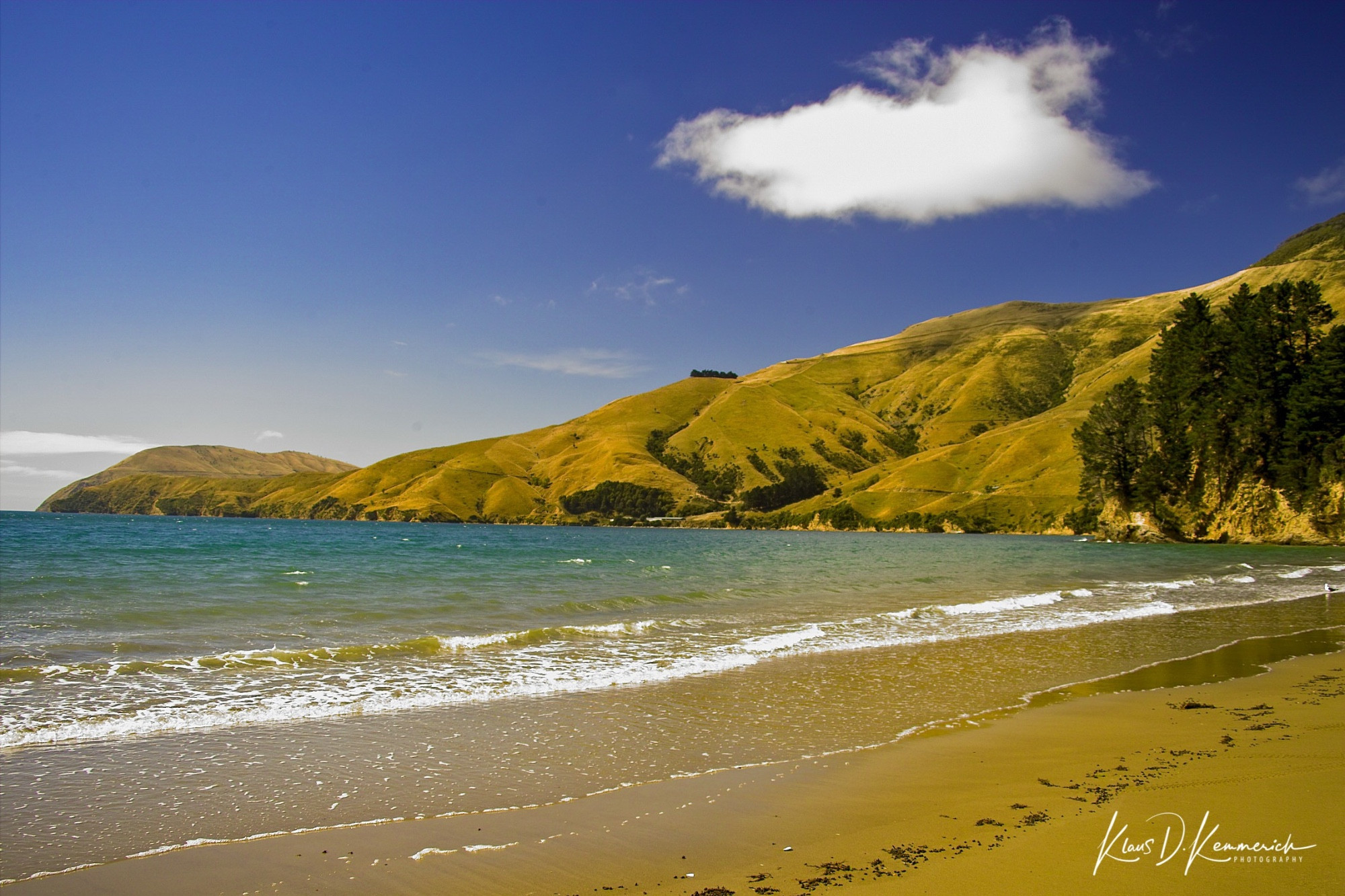 Titirangi Beach, New Zealand