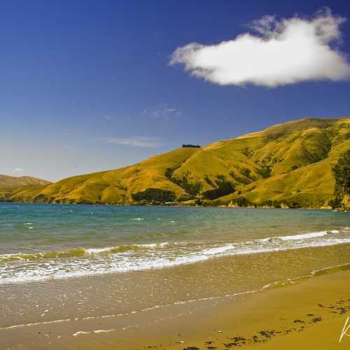 Titirangi Beach, Новая Зеландия