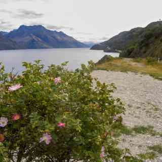 Devil's Staircase Lookout Point photo