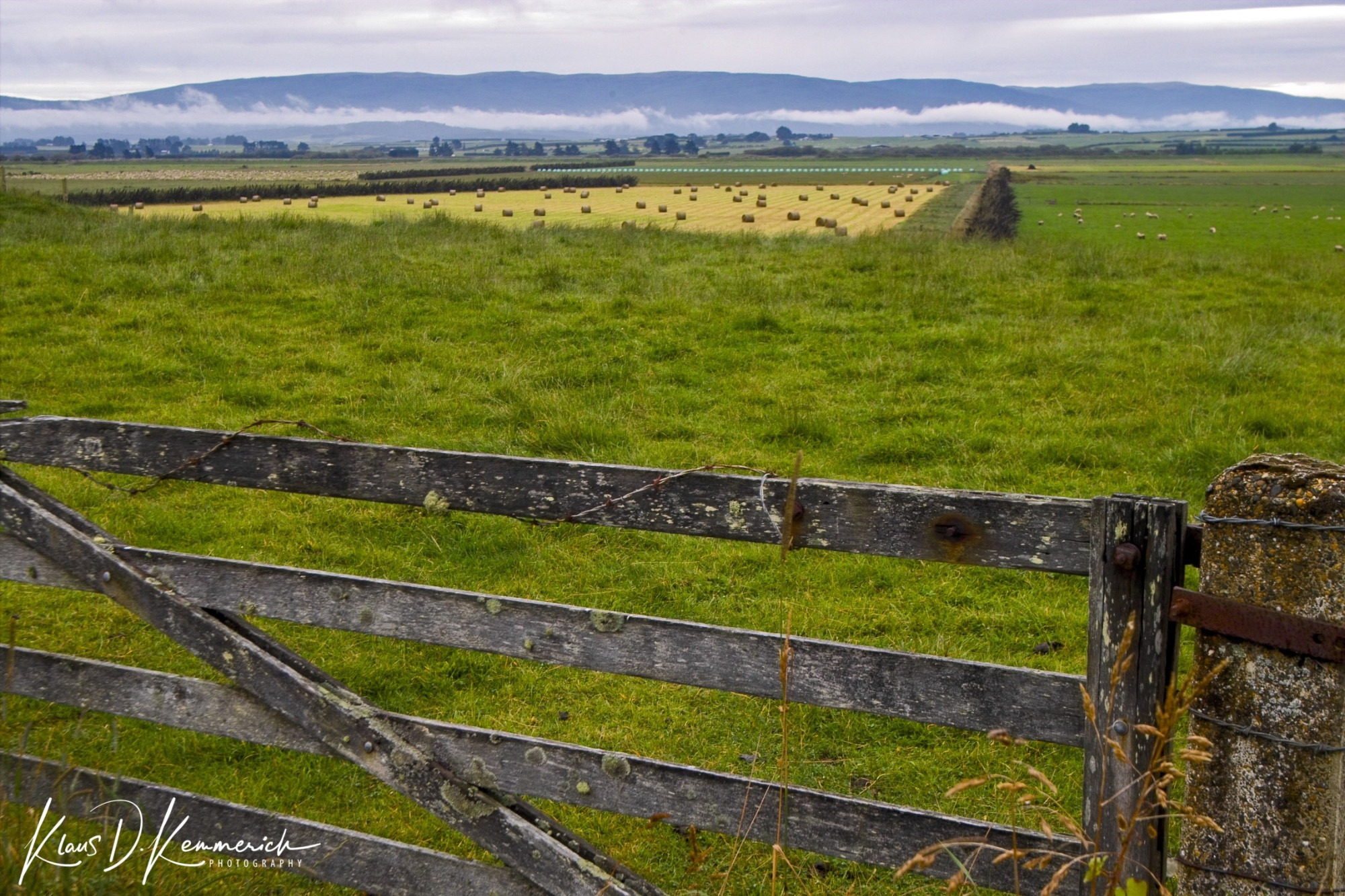 Landscape near Riverton