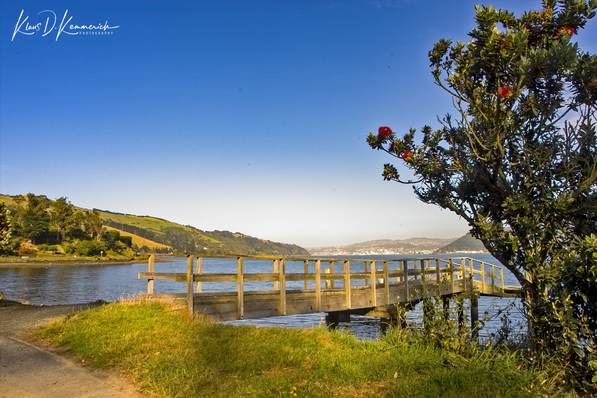 Company Bay, New Zealand