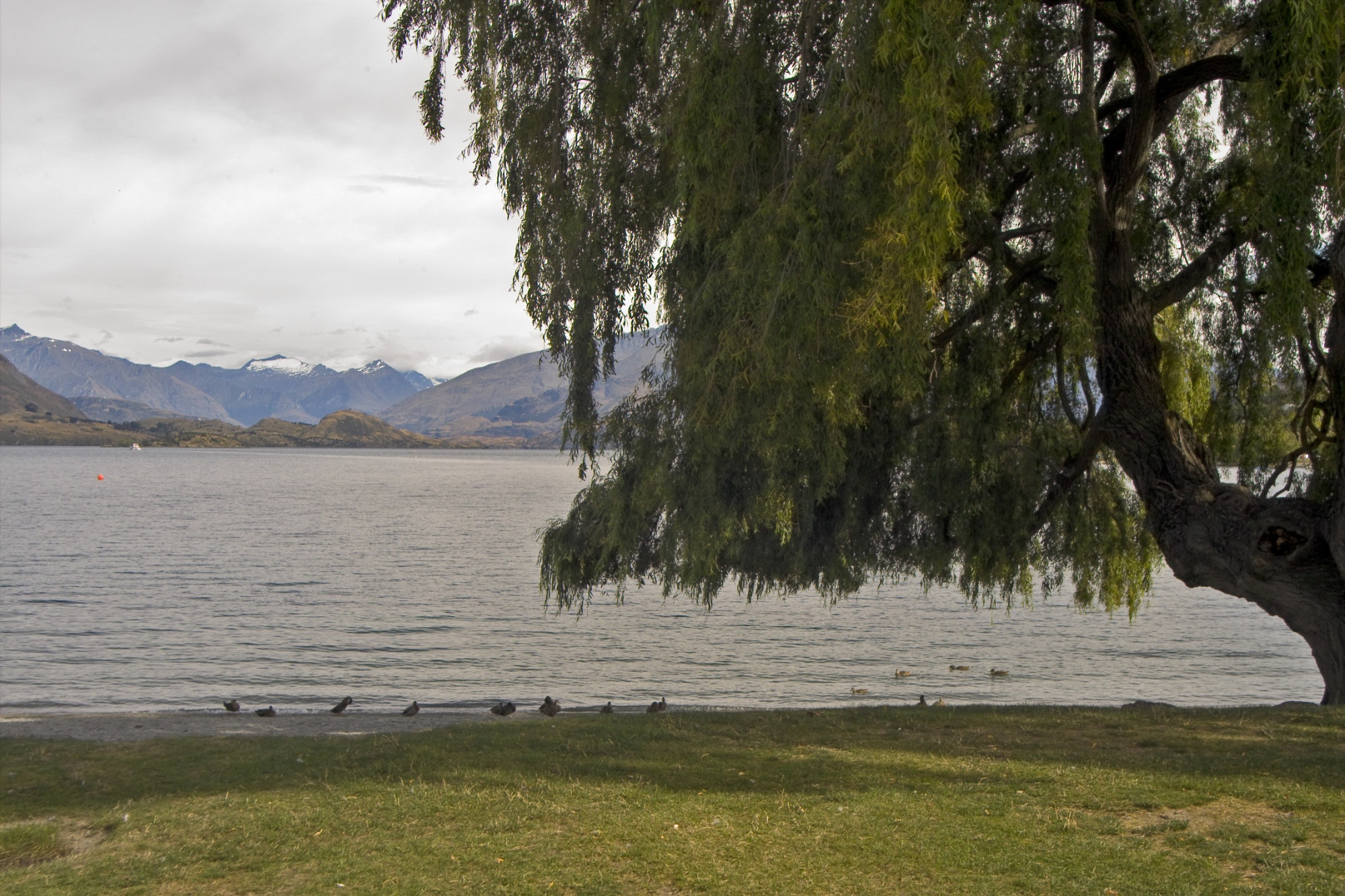 Lake Wanaka, Новая Зеландия