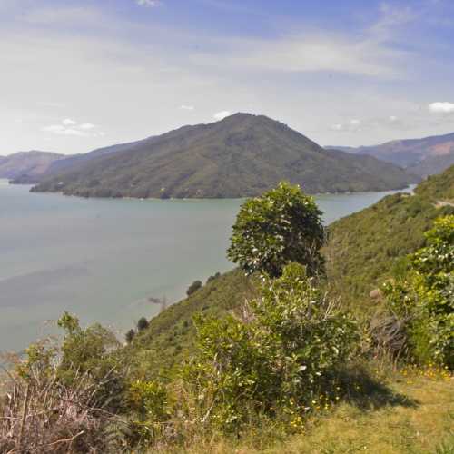 Mahau Sound Lookout, New Zealand