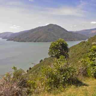 Mahau Sound Lookout photo