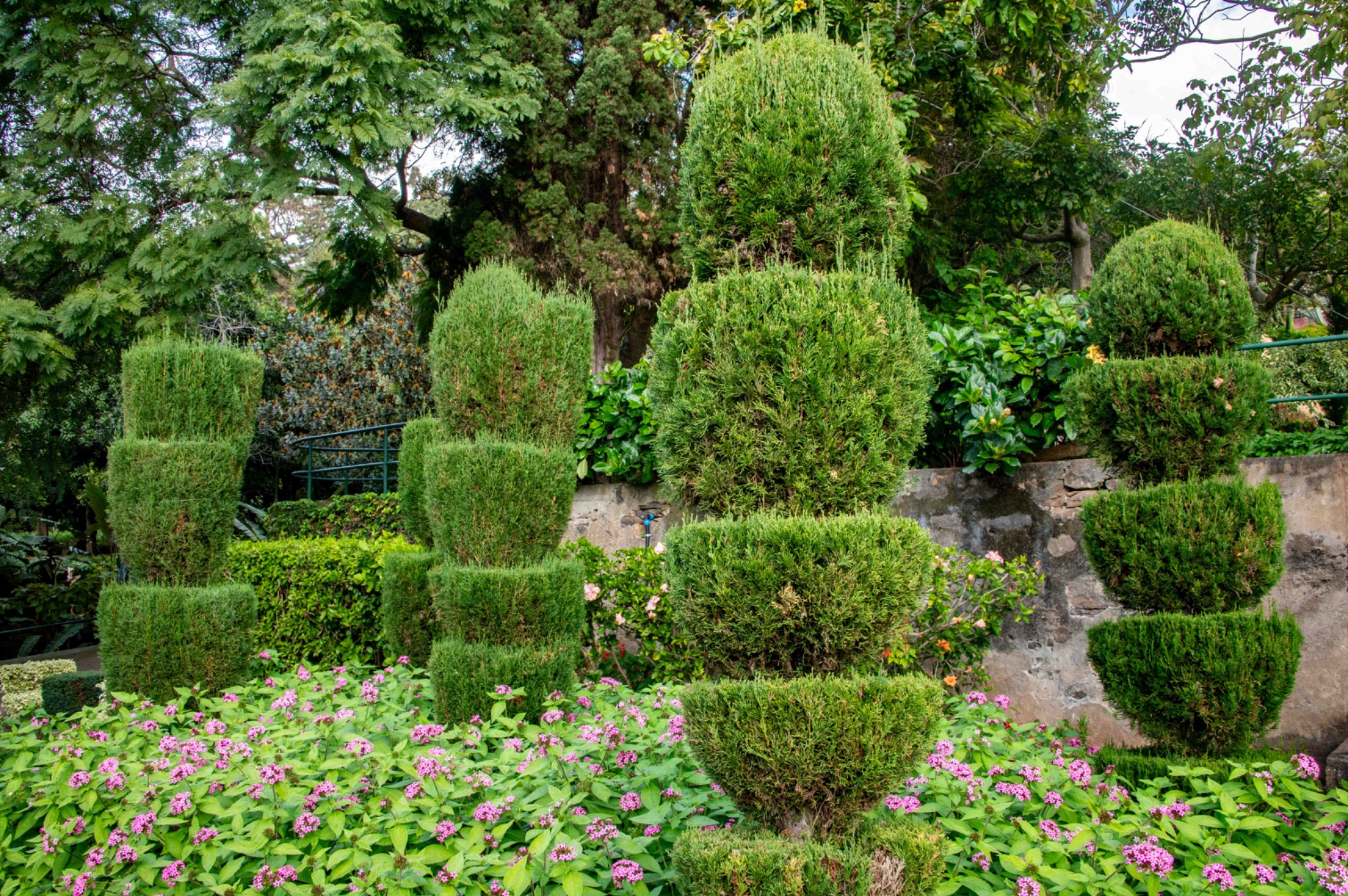 Madeira Botanical Garden, Funchal, Madeira, Portugal