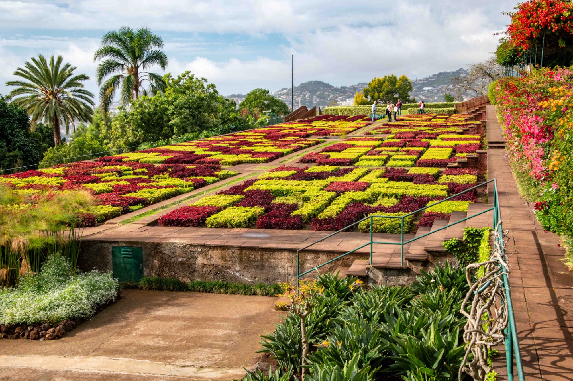 Madeira Botanical Garden, Funchal, Madeira, Portugal