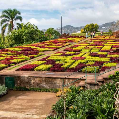 Madeira Botanical Garden, Funchal, Madeira, Portugal