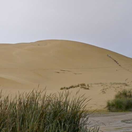 Giant Sand Dunes photo