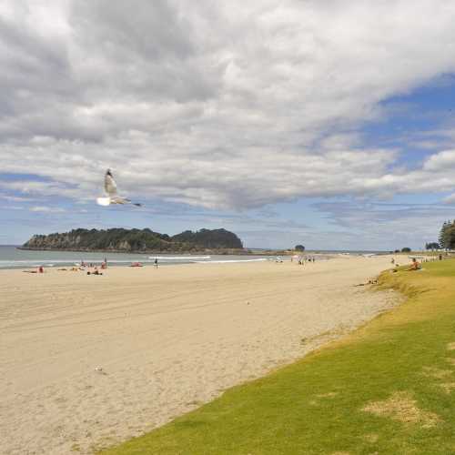 Maunganui Beach photo