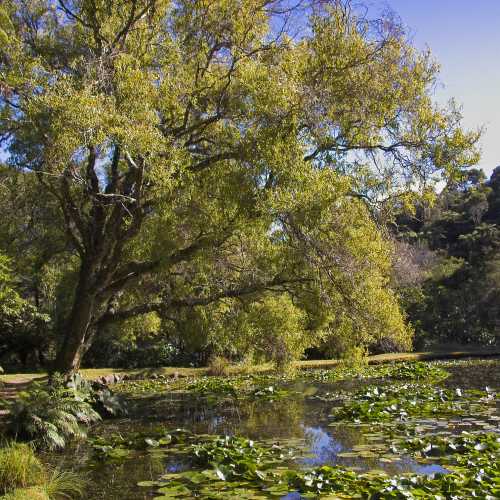 Rapaura Watergardens, New Zealand