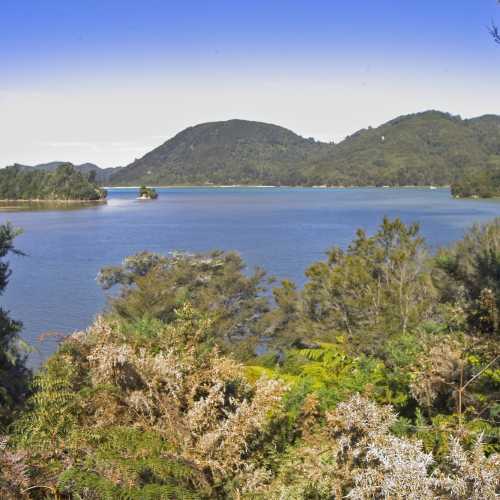 Awaroa Bay photo