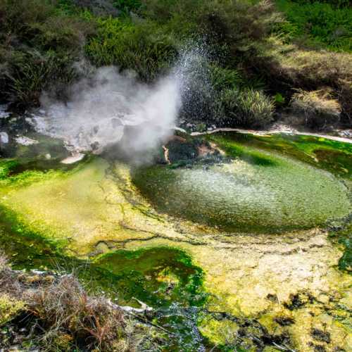 Waimangu Volcanic Valley photo