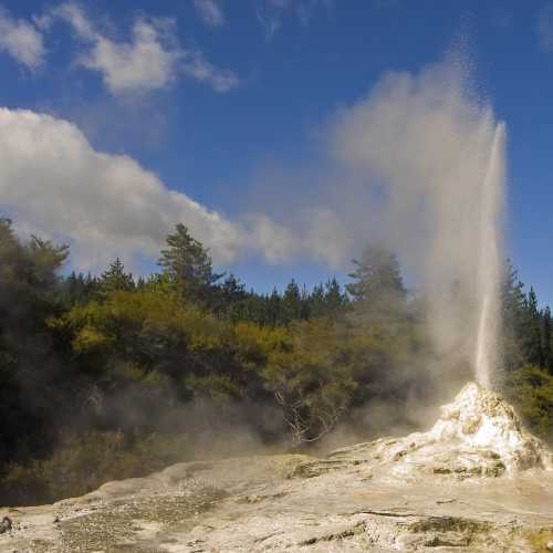 Lady Knox Geyser photo