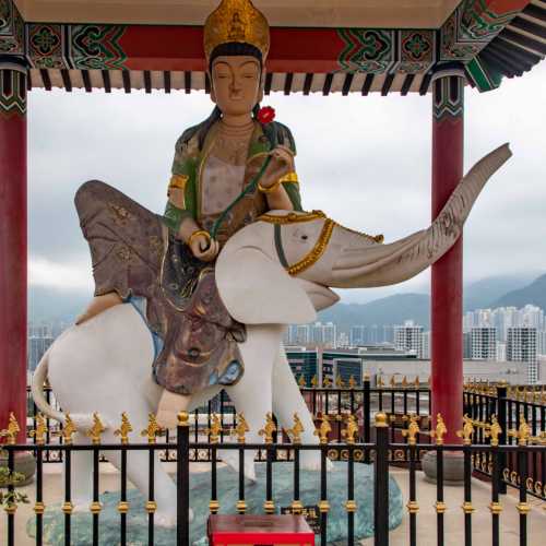 Ten Thousand Buddhas Monastery, Hong Kong
