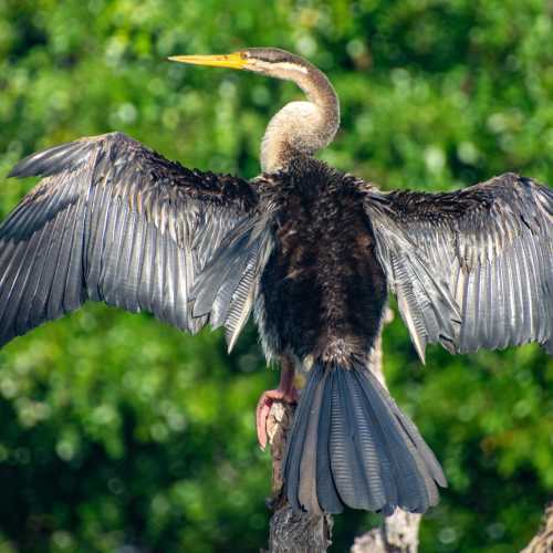 Национальный парк Какаду, Австралия