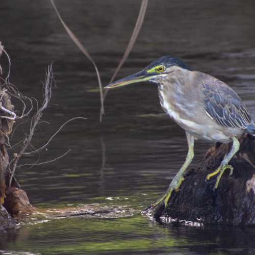 Национальный парк Какаду, Австралия