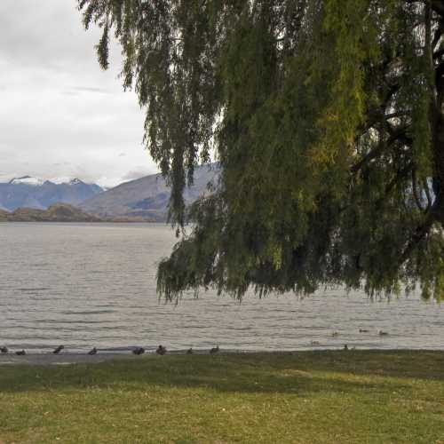 Wanaka photo