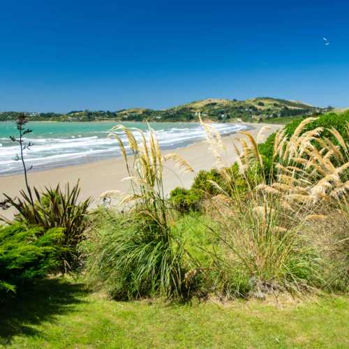 Моераки photo