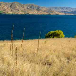Lake Aviemore Viewpoint photo