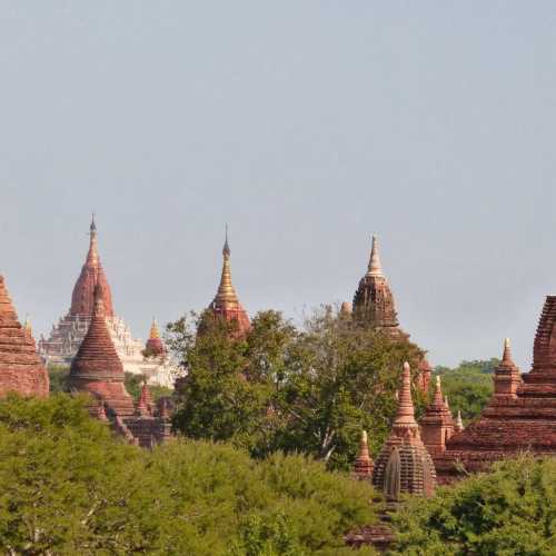 Myanmar Burma