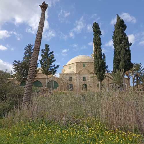 Hala Sultan Tekkesi, Cyprus
