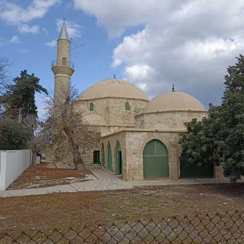 Hala Sultan Tekkesi, Кипр