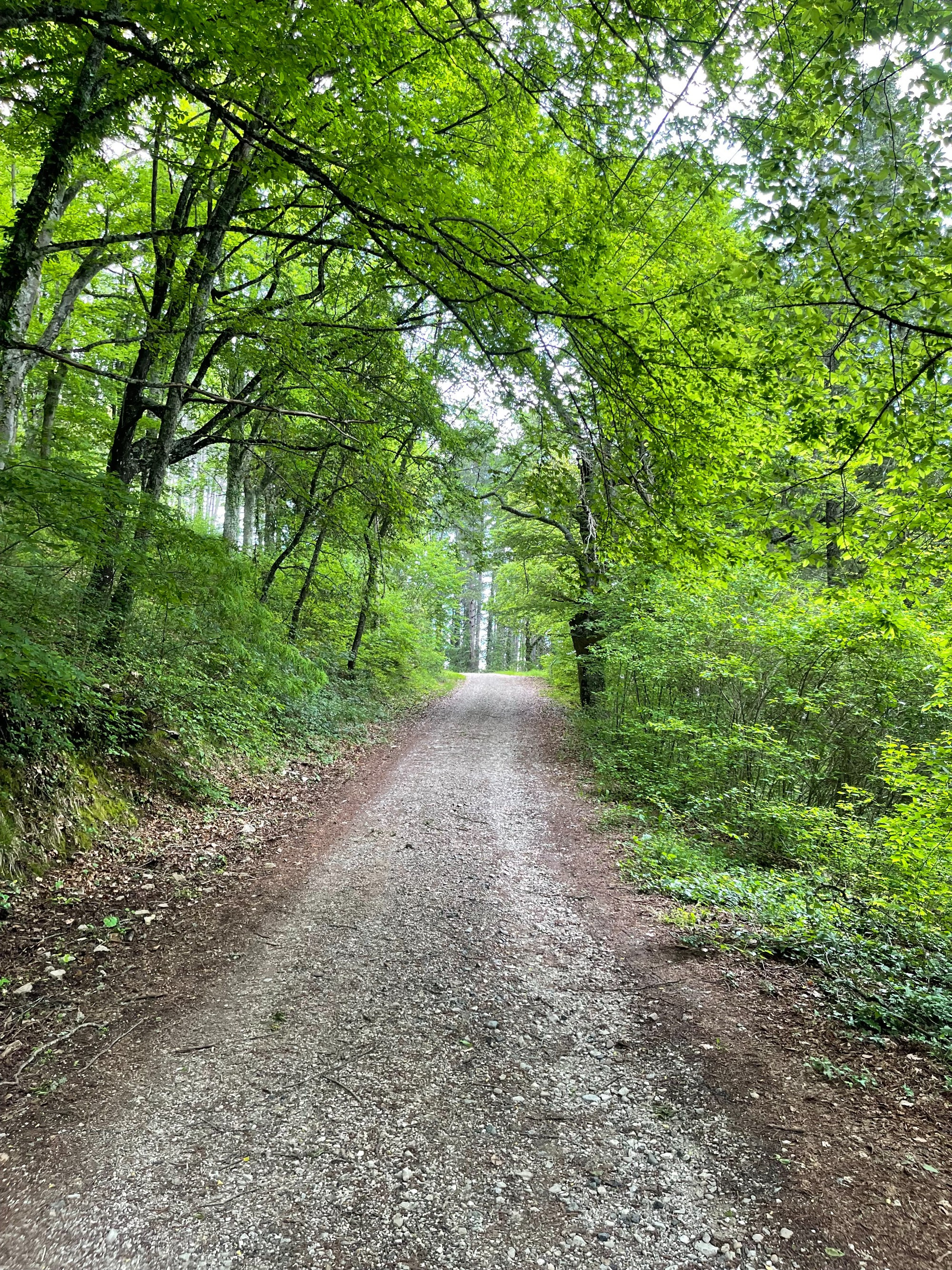 Monte Santa Maria Tiberina, Италия